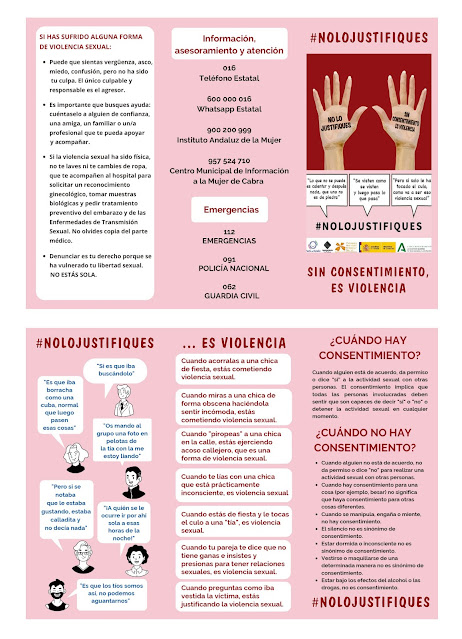 Prueba-Triptico-Patronato-Bienestar-Social-Violencia-Sexual-1-ZNO6Ek.jpg